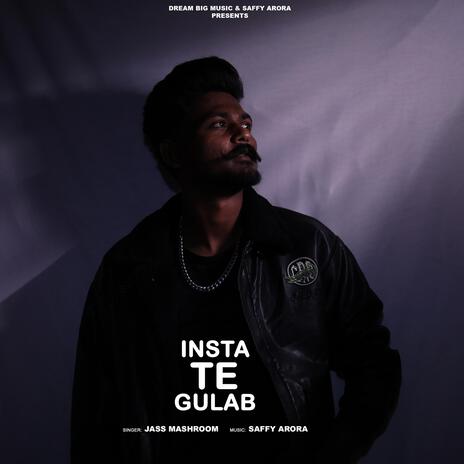 Insta Te Gulab | Boomplay Music