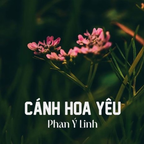 Cánh Hoa Yêu | Boomplay Music