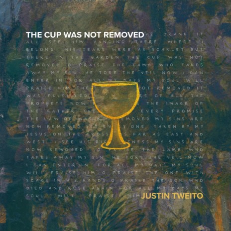 The Cup Was Not Removed | Boomplay Music