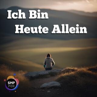 Ich Bin Heute Allein lyrics | Boomplay Music