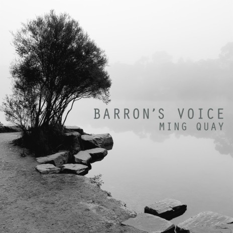 Barron's Voice | Boomplay Music