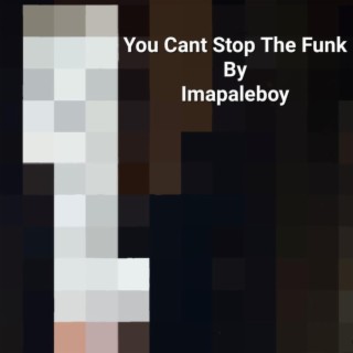 You Can't Stop The Funk