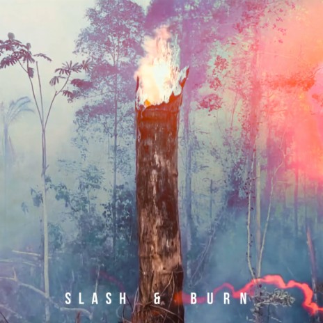 Slash & Burn (feat. MAY BBY) | Boomplay Music