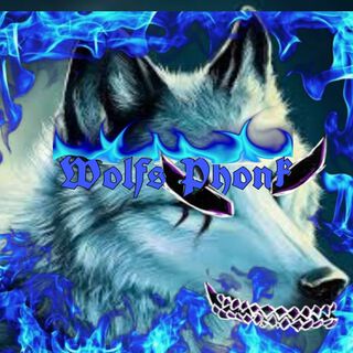 Wolfs Phonk