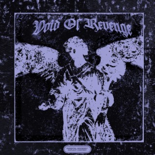 Void of Revenge