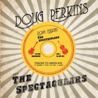Doug Perkins and the Spectaculars