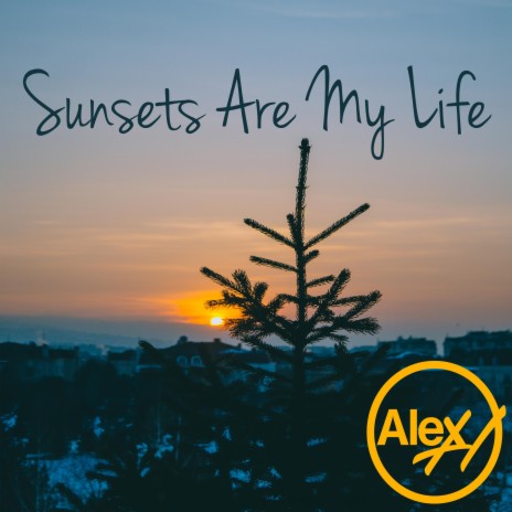 Sunsets Are My Life | Boomplay Music