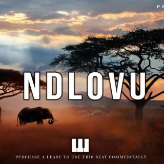 Ndlovu