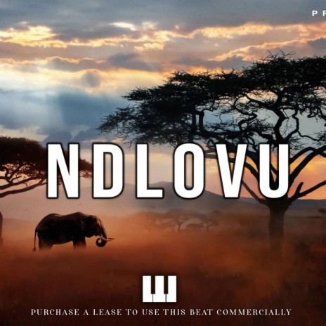 Ndlovu | Boomplay Music