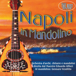 Napoli In Mandolino