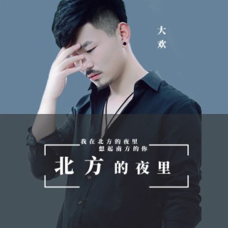 北方的夜里（DJ伯格版） lyrics | Boomplay Music