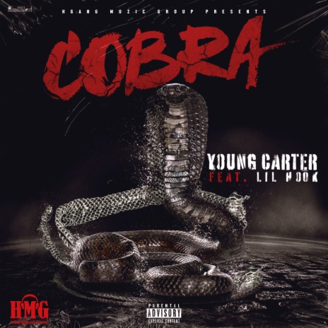 Cobra (feat. Lil Hook) | Boomplay Music