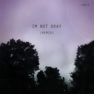 I'm not okay (Remix) lyrics | Boomplay Music