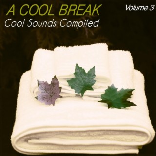 A Cool Break, Vol.3 - Cool Sounds Compiled