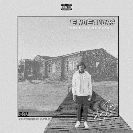 Endeavors | Boomplay Music