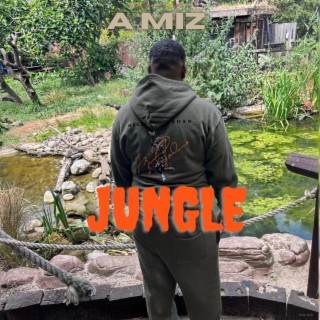 Jungle lyrics | Boomplay Music
