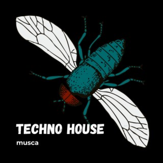 Techno house musca