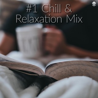 #1 Chill & Relaxation Mix