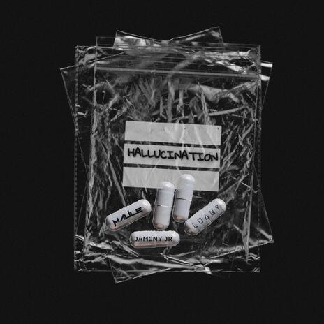 Hallucination ft. MAULE & LUANY | Boomplay Music