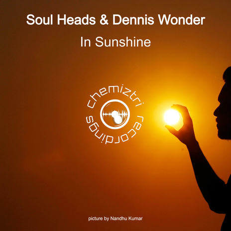 In Sunshine (Goosebump Remix) ft. Dennis Wonder