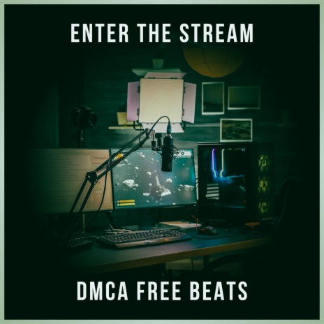 Enter the Stream | Boomplay Music