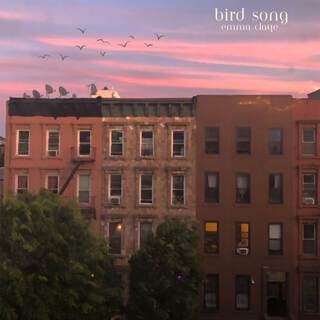 bird song lyrics | Boomplay Music