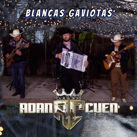 Blancas Gaviotas | Boomplay Music