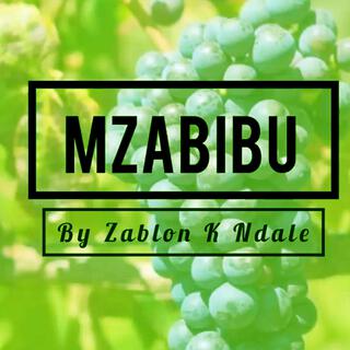 Mimi Ni Mzabibu by Zabron K Ndale