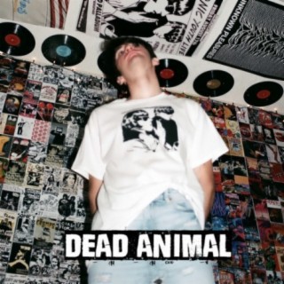 Dead Animal