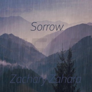 Sorrow lyrics | Boomplay Music