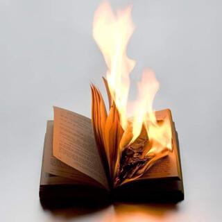 Burning Diaries