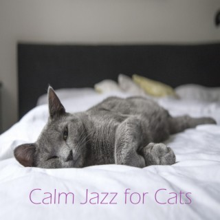 Calm Jazz for Cats