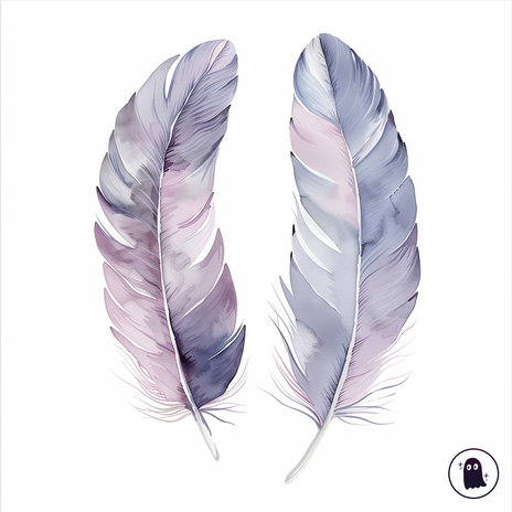 Feathers | Boomplay Music