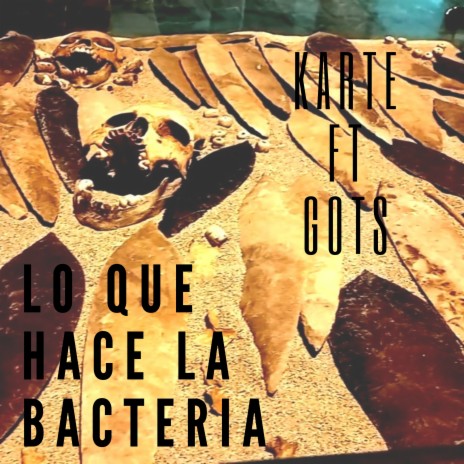 Lo Que Hace La Bacteria ft. Gots | Boomplay Music