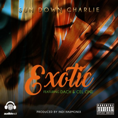 Exotic (feat. Dach & Cel One) | Boomplay Music