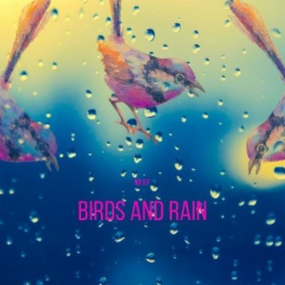 Birds and Rain