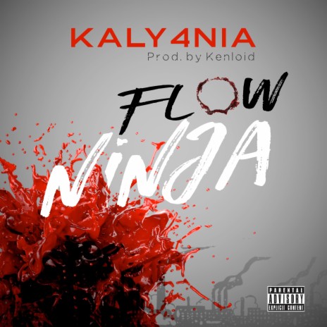 Flow Ninja | Boomplay Music