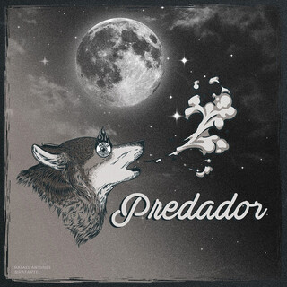 Predador