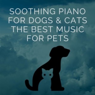 Soothing Piano For Dogs & Cats The Best Music For Pets