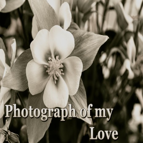 Photograph of My Love | Boomplay Music