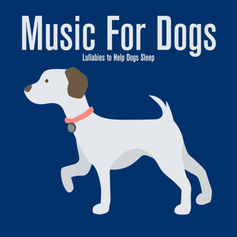 Looking Up ft. Dog Music Dreams | Boomplay Music