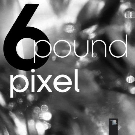 6 Pound Pixel
