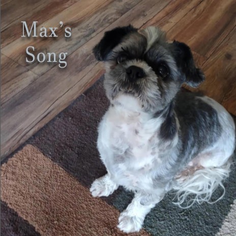 Max's Song | Boomplay Music