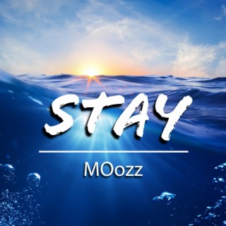 Stay