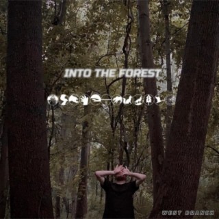 Into the Forest