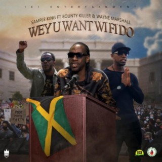 WEY U Want WI FI DO (feat. Bounty Killer & Wayne Marshal)