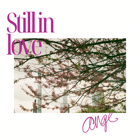 Still in Love | Boomplay Music