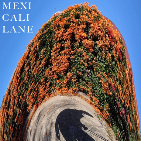 MexiCali Lane | Boomplay Music