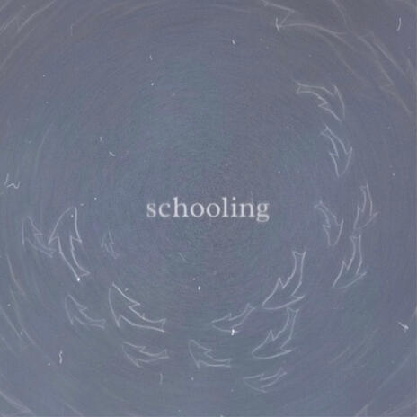 Schooling | Boomplay Music