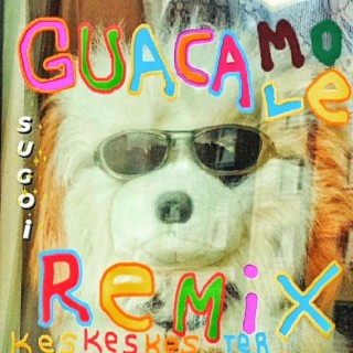 guacamole (✧･ﾟ:*SUGOi ReMiX✧･ﾟ: *) lyrics | Boomplay Music